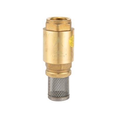 Top quality 1/2,3/4,1inch brass check valve